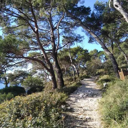 In Near Verudela * بولا